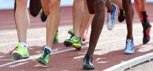 doping palestra guidonia